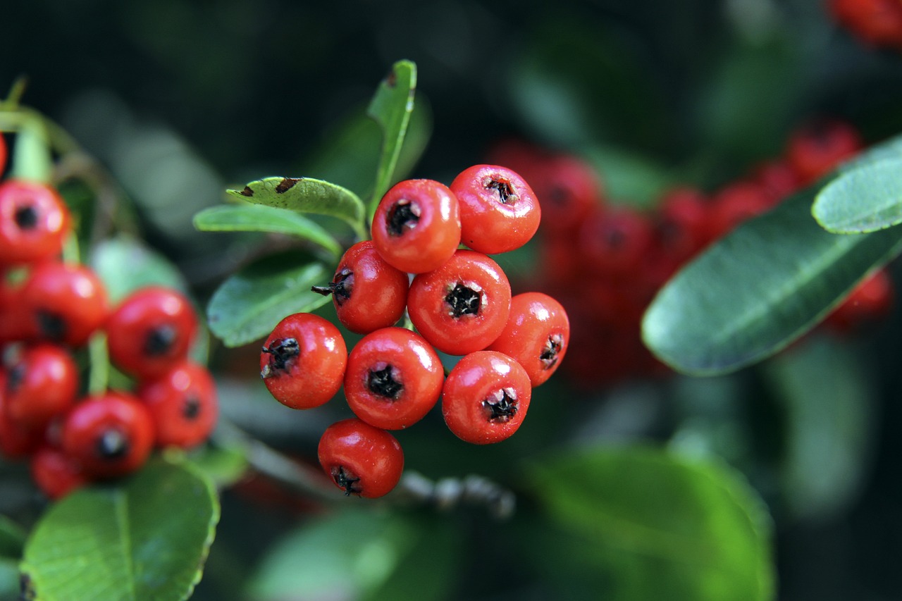 在这场重量 在这场重量