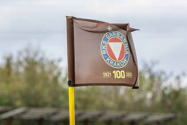 什麼球員和 什麼球員和