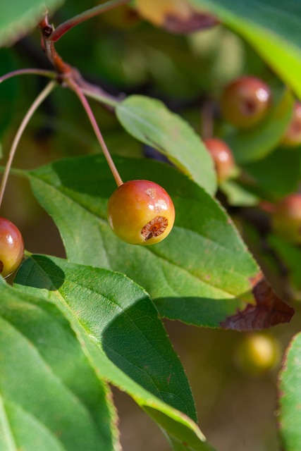 他的视野 他的视野