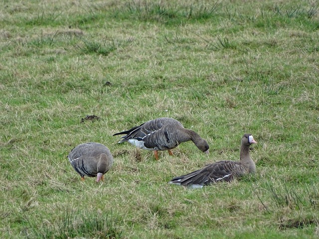 应了他的打 应了他的打