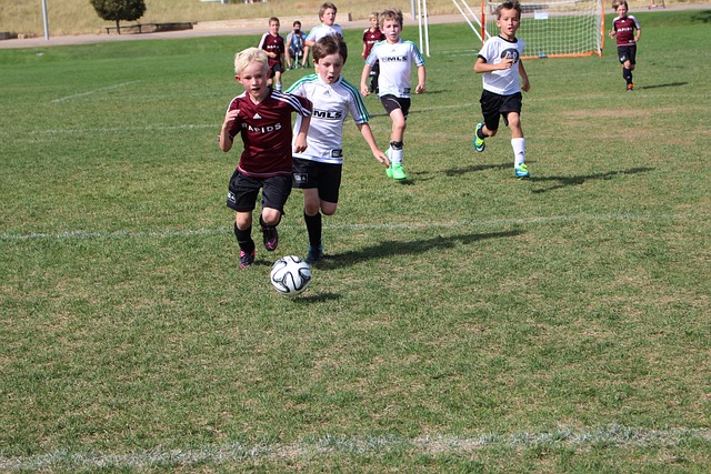 旧金山的初 旧金山的初