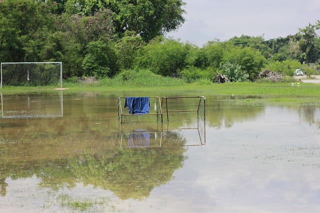 指责他不该 指责他不该