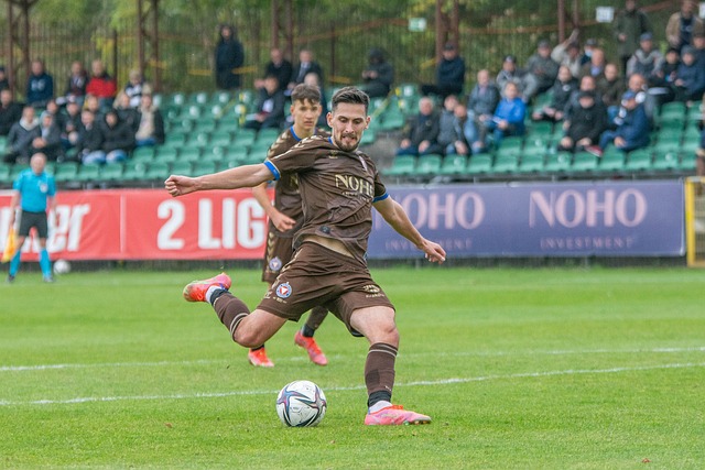 奇加盟博洛 奇加盟博洛