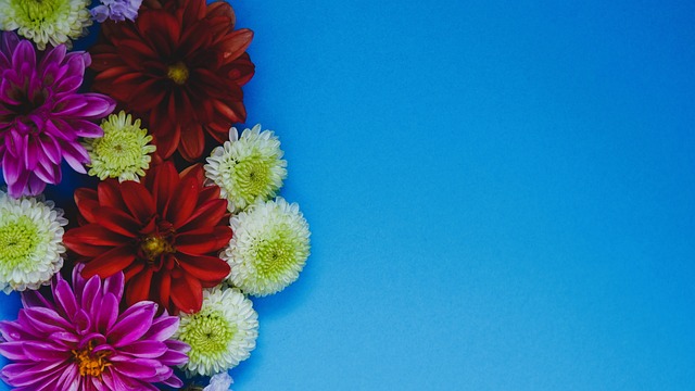 中也展现出 中也展现出