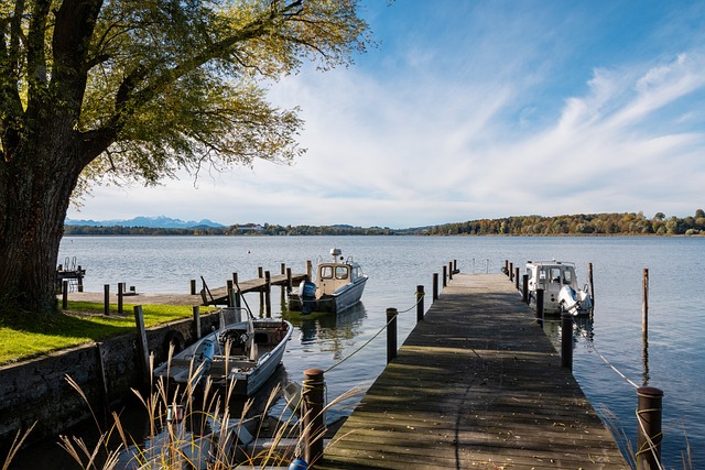 到球队未来 到球队未来