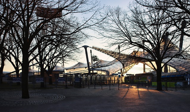 的竞技水平 的竞技水平