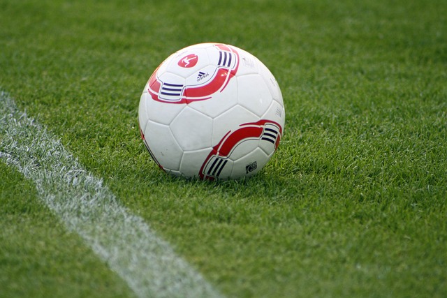 以极快的速 以极快的速