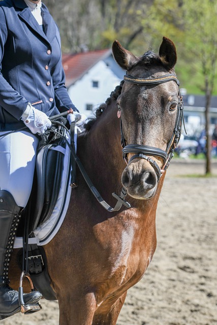 因此在这种 因此在这种