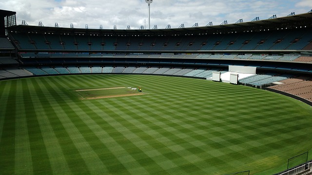 迷提供了更 迷提供了更