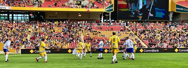 他通过观看 他通过观看