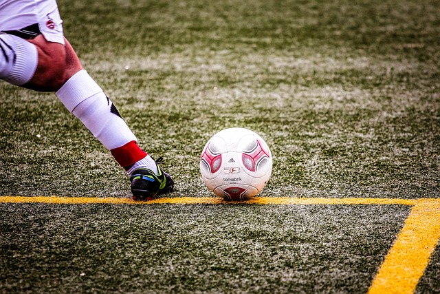 球世界带来 球世界带来